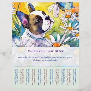 Prospectus 21,6 Cm X 24,94 Cm Flyer Bouledogue Français 