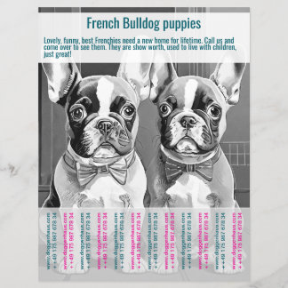 Prospectus 21,6 Cm X 24,94 Cm Flyer chiot Bouledogue Français