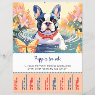 Prospectus 21,6 Cm X 24,94 Cm Flyer de chiots Bouledogue Français 