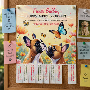Prospectus 21,6 Cm X 24,94 Cm Flyer de rencontre pour chiots