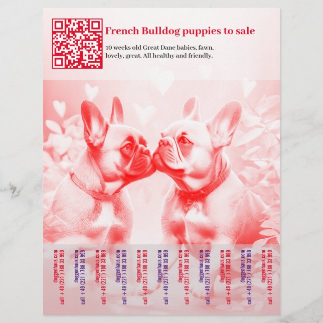 Prospectus 21,6 Cm X 24,94 Cm Flyer de vente de chiots Frenchie (Devant)