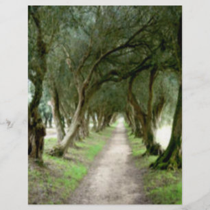 Prospectus 21,6 Cm X 24,94 Cm Flyer du jardin d'olivier