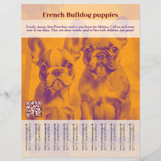 Prospectus 21,6 Cm X 24,94 Cm Flyer pour chiot Bouledogue Français
