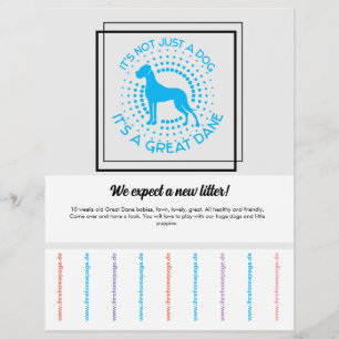 Prospectus 21,6 Cm X 24,94 Cm Flyer pour vendre des chiots