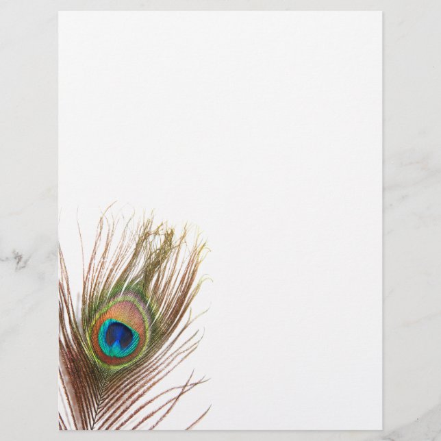 Prospectus 21,6 Cm X 24,94 Cm Flyers Peacock (Devant)