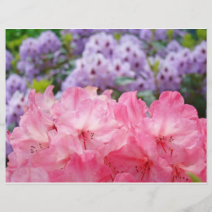 Prospectus 21,6 Cm X 24,94 Cm Flyers personnalisés créent des fleurs florales Rh