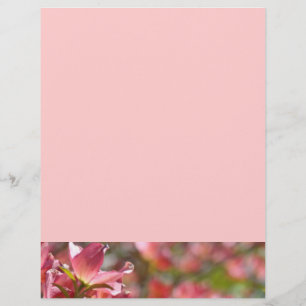 Prospectus 21,6 Cm X 24,94 Cm Flyers personnalisés Créez vos propres Fleurs de D