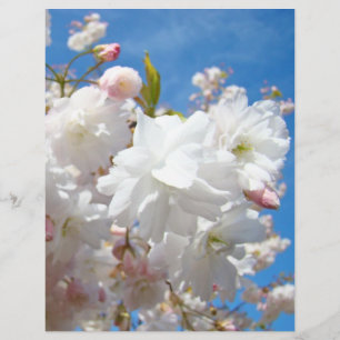 Prospectus 21,6 Cm X 24,94 Cm Flyers Spring Flyers papier Blue Sky Flowers