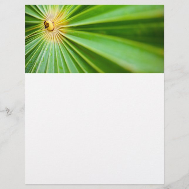 Prospectus 21,6 Cm X 24,94 Cm Fond de feuilles vertes (Devant)