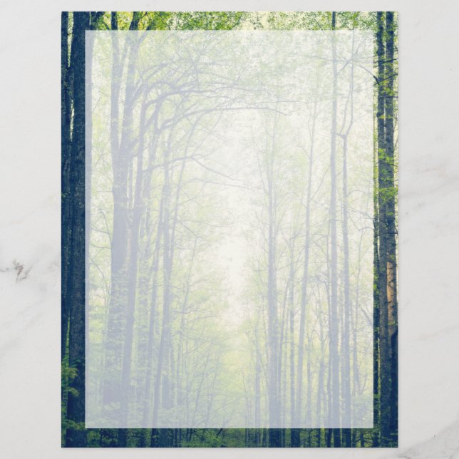 Prospectus 21,6 Cm X 24,94 Cm Forêt mystique (Devant)