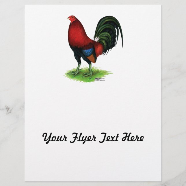 Prospectus 21,6 Cm X 24,94 Cm Gamecock : Rouge foncé (Devant)