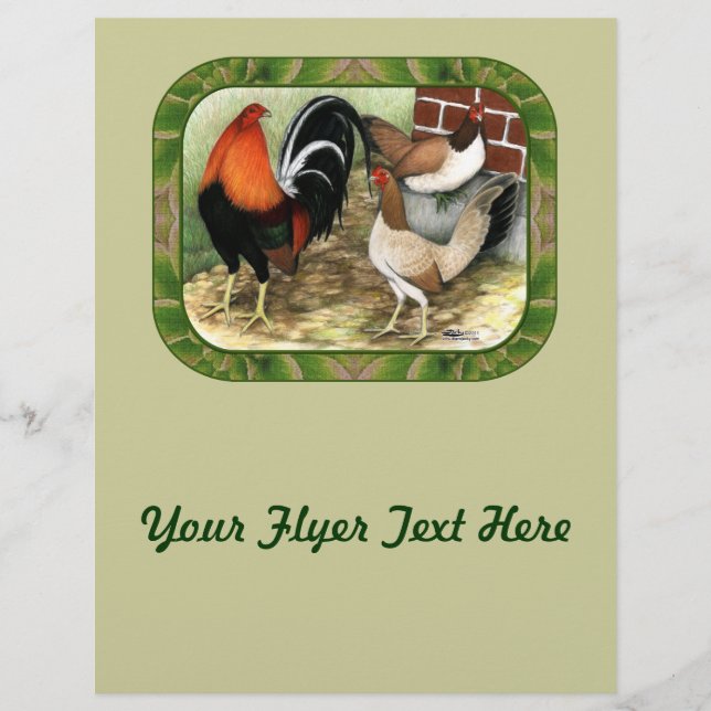 Prospectus 21,6 Cm X 24,94 Cm Gamefowl à la ferme (Devant)