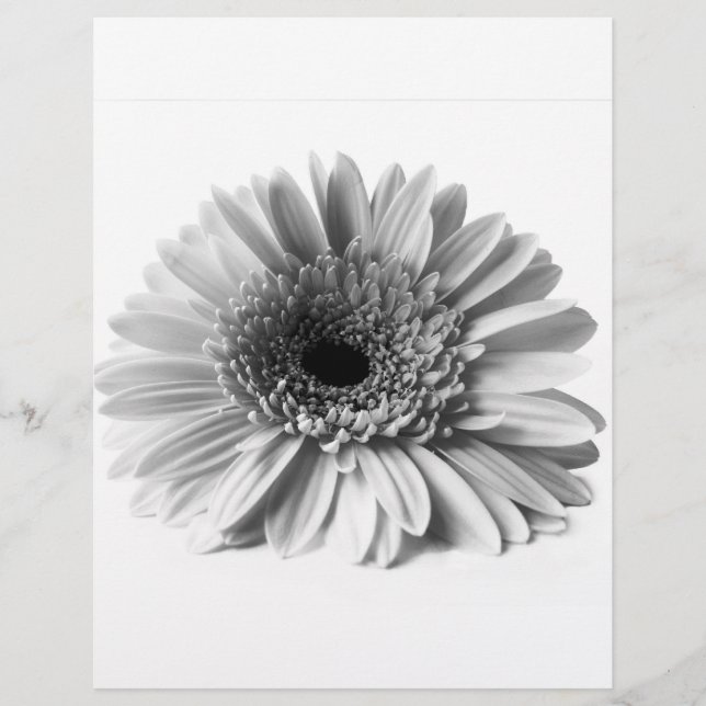 Prospectus 21,6 Cm X 24,94 Cm Gerbera (Devant)