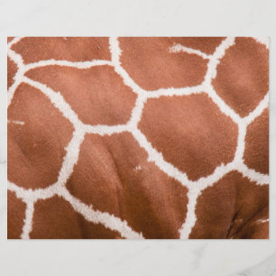Prospectus 21,6 Cm X 24,94 Cm Girafe