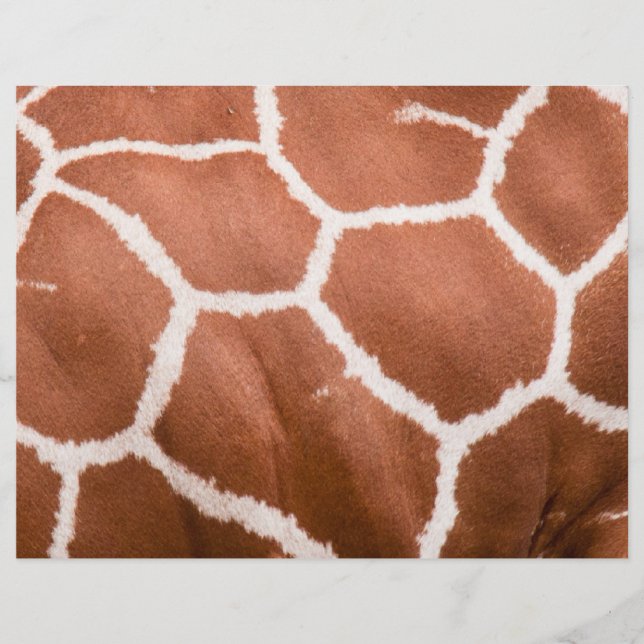 Prospectus 21,6 Cm X 24,94 Cm Girafe (Devant)