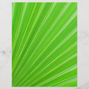 Prospectus 21,6 Cm X 24,94 Cm Green palm