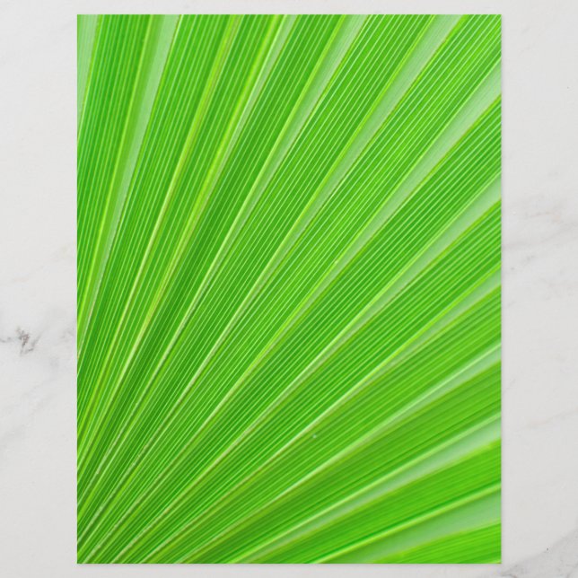 Prospectus 21,6 Cm X 24,94 Cm Green palm (Devant)