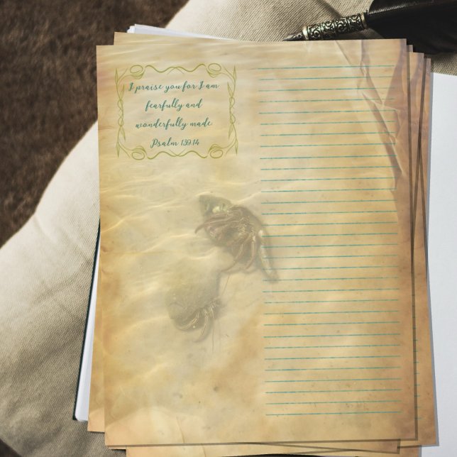 Prospectus 21,6 Cm X 24,94 Cm Hermit Crabs Scripture Scrapbook Paper (Créateur téléchargé)