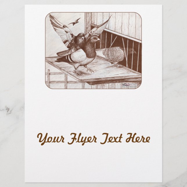 Prospectus 21,6 Cm X 24,94 Cm Homecoming Homecoming Homes (Devant)