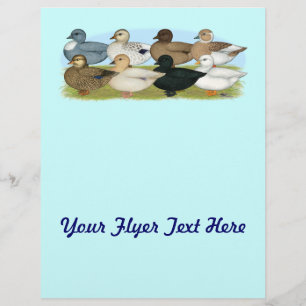 Prospectus 21,6 Cm X 24,94 Cm Huit canards d'appel