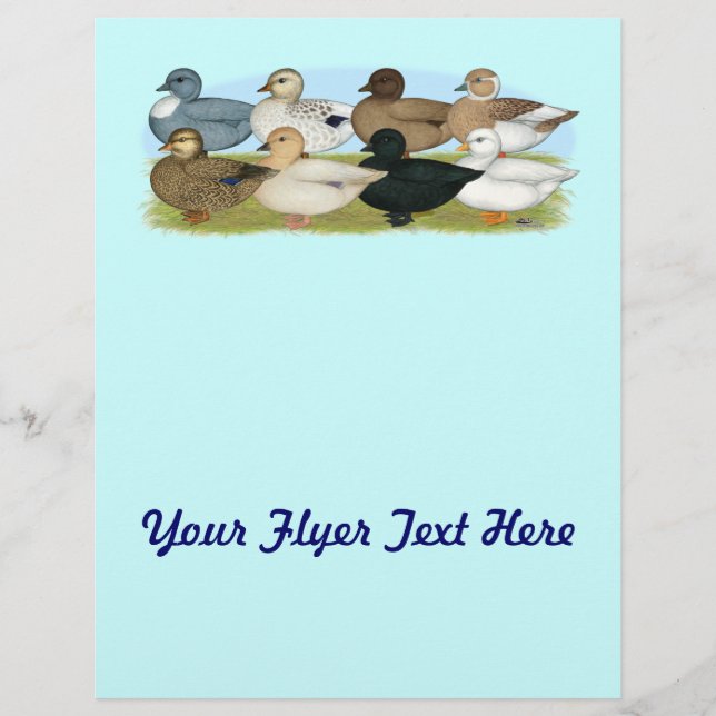 Prospectus 21,6 Cm X 24,94 Cm Huit canards d'appel (Devant)