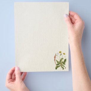 Prospectus 21,6 Cm X 24,94 Cm Illustration de pissenlit vintage sur flyer