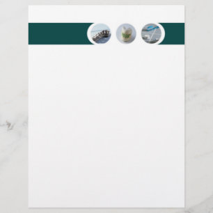 Prospectus 21,6 Cm X 24,94 Cm Insecte de dentiste