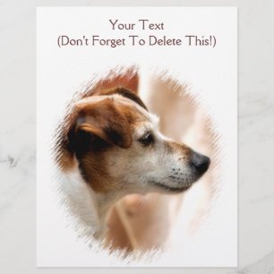 PROSPECTUS 21,6 CM X 24,94 CM JACK RUSSELL TERRIER CHIEN