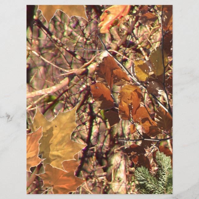 Prospectus 21,6 Cm X 24,94 Cm La peinture Camo Camouflage Chasseur Personnaliser (Dos)