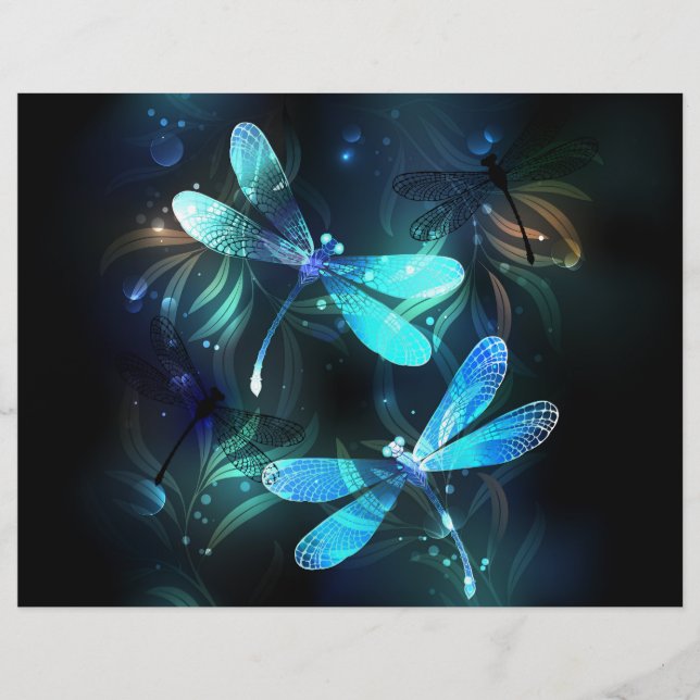 Prospectus 21,6 Cm X 24,94 Cm Les libellules du lac (Devant)