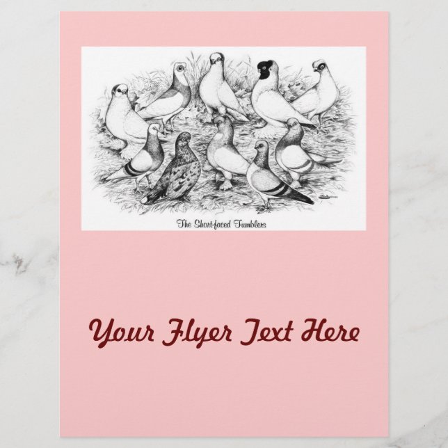 Prospectus 21,6 Cm X 24,94 Cm Les Tumblers à courte vue (Devant)