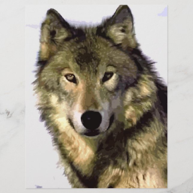 Prospectus 21,6 Cm X 24,94 Cm Loup gris (Devant)