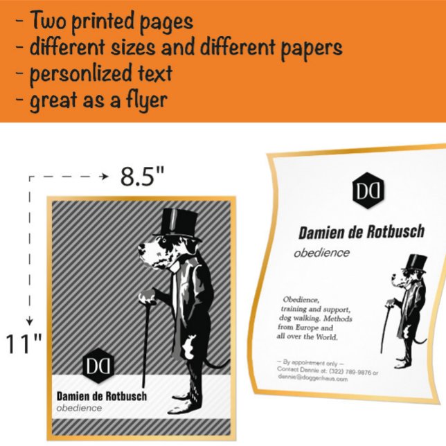 Prospectus 21,6 Cm X 24,94 Cm Luxus Fleyer mit Goldrand für Hundeschulen (Créateur téléchargé)