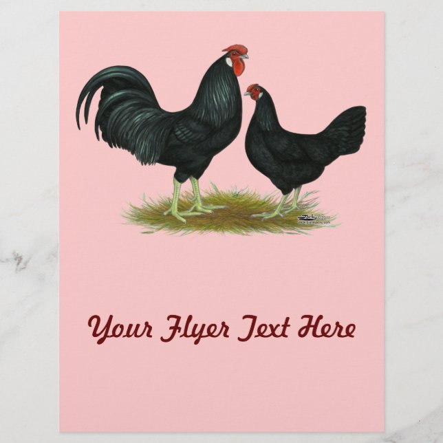 Prospectus 21,6 Cm X 24,94 Cm Marsh Daisy Chickens (Devant)