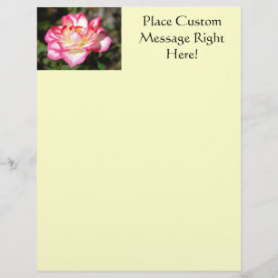 Prospectus 21,6 Cm X 24,94 Cm Modèle de dépliant Rose Fleur Rose Blanche Jaune