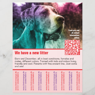 Prospectus 21,6 Cm X 24,94 Cm modèle de flyer de chiots à vendre avec code QR