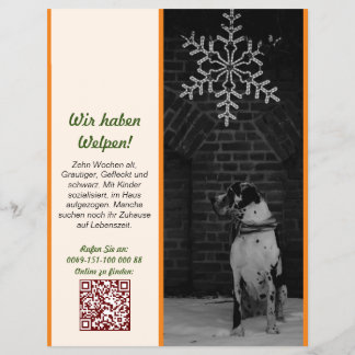 Prospectus 21,6 Cm X 24,94 Cm Modèle de flyer de vente de chiots