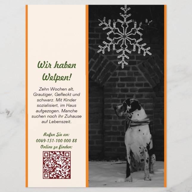 Prospectus 21,6 Cm X 24,94 Cm Modèle de flyer de vente de chiots (Devant)