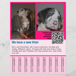 Prospectus 21,6 Cm X 24,94 Cm modèle de flyer de vente de chiots avec code QR