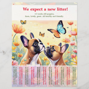 Prospectus 21,6 Cm X 24,94 Cm Modèle de Flyer pour Chiots Bouledogue Français à