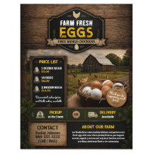 Modèle de Flyer pour la Vente d'Oeufs Frais de Fer