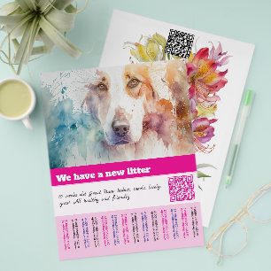 Prospectus 21,6 Cm X 24,94 Cm modèles de flyers pour chiots à vendre
