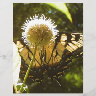 Prospectus 21,6 Cm X 24,94 Cm Monarque de juin