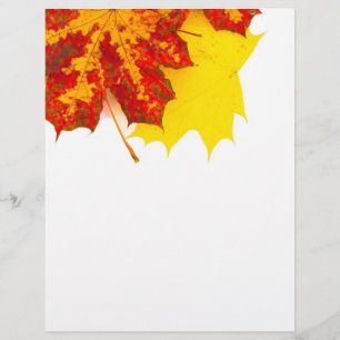 Prospectus 21,6 Cm X 24,94 Cm Motif de feuilles d'automne