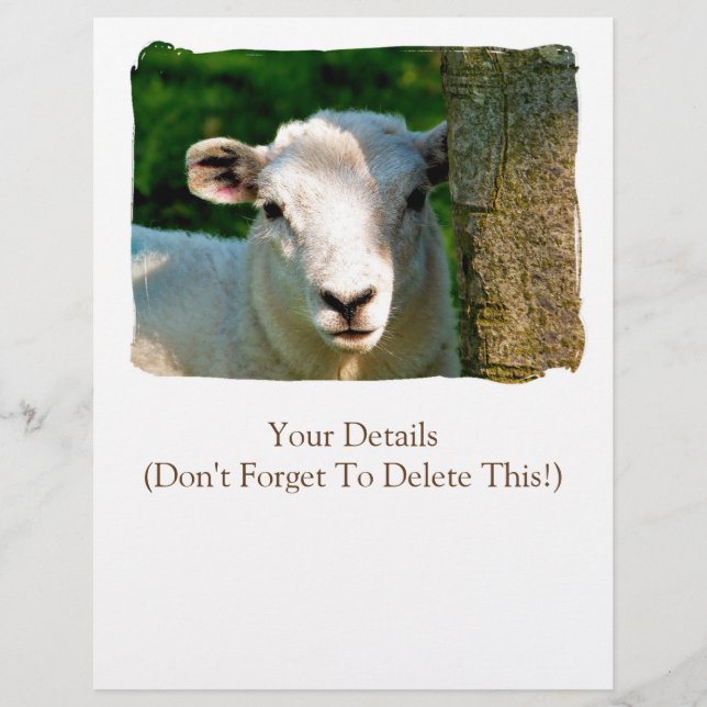 PROSPECTUS 21,6 CM X 24,94 CM MOUTON (Devant)