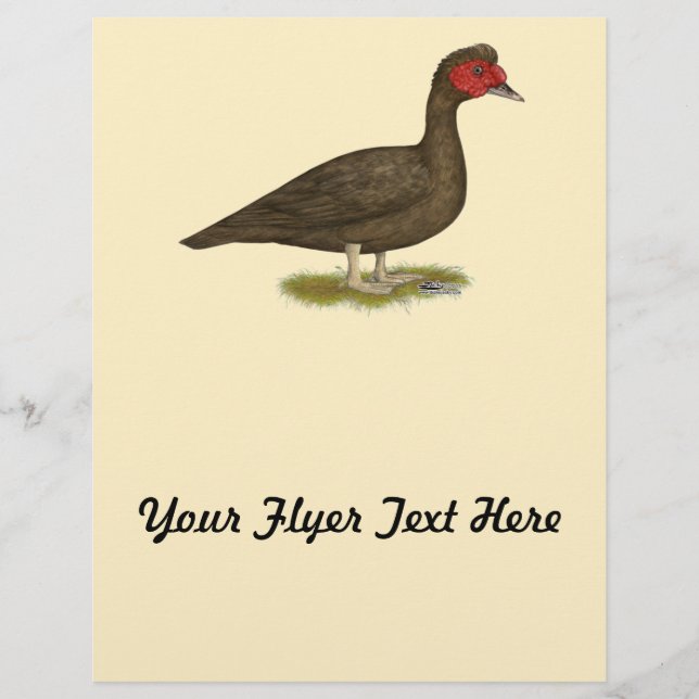 Prospectus 21,6 Cm X 24,94 Cm Muscovy Drake Chocolat (Devant)