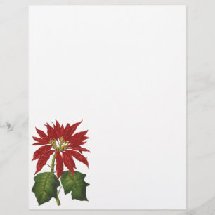 Prospectus 21,6 Cm X 24,94 Cm Noël vintage, poinsettia rouge plante d'hiver
