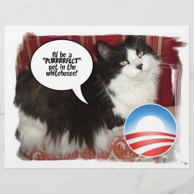 Prospectus 21,6 Cm X 24,94 Cm Obama Pet/Humour politique (Devant)