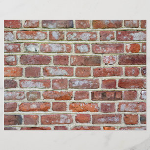 Prospectus 21,6 Cm X 24,94 Cm Old Brick