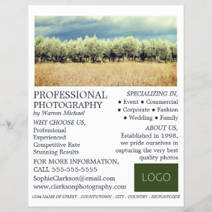 Prospectus 21,6 Cm X 24,94 Cm Olive Trees, Photographie, Location de photographe